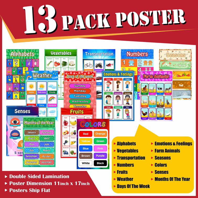 UNIQUE^ 13 Piece Educational Posters Set Wayfair.ca